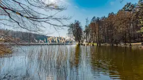 Marcowy dzień nad zatoką Skonał - zdjęcie 27