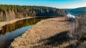 Marcowy dzień nad zatoką Skonał - zdjęcie 58