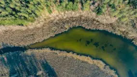 Marcowy dzień nad zatoką Skonał - zdjęcie 47
