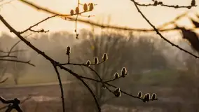 Zachód słońca nad Mazurskimi polami, Wopławki, marzec 2024 r. - zdjęcie 7