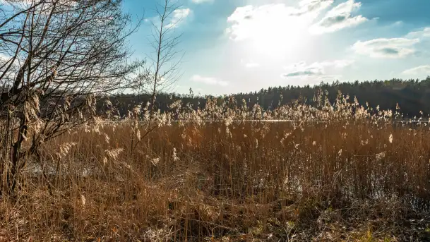 Jezioro Czarna Kuta i okolice, początek marca 2024 r. - zdjęcie 5