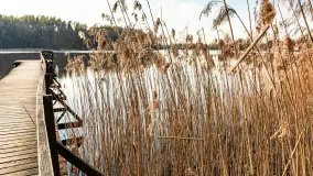 Jezioro Czarna Kuta i okolice, początek marca 2024 r. - zdjęcie 19