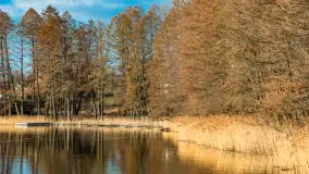 Jezioro Czarna Kuta i okolice, początek marca 2024 r. - zdjęcie 17