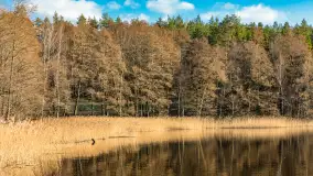 Jezioro Czarna Kuta i okolice, początek marca 2024 r. - zdjęcie 12