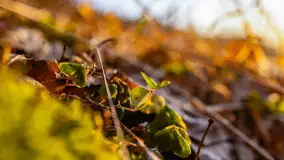 Zachód słońca w zatoce Skonał, nad jeziorem Tałty, marzec 2024 r. - zdjęcie 11