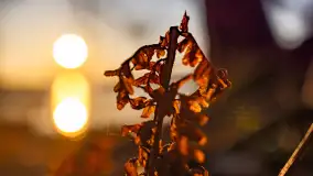 Zachód słońca w zatoce Skonał, nad jeziorem Tałty, marzec 2024 r. - zdjęcie 17