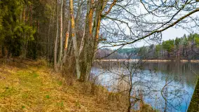 Mazurska przyroda w połowie marca 2024 r. - zdjęcie 10