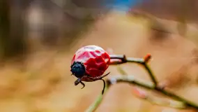 Mazurska przyroda w połowie marca 2024 r. - zdjęcie 9