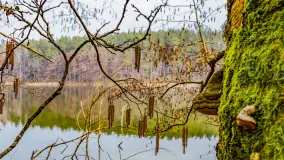 Mazurska przyroda w połowie marca 2024 r. - zdjęcie 3