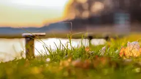 Wschód słońca nad jeziorem Kisajno, port AWF - zdjęcie 27