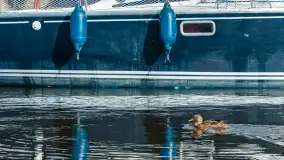 Port w Wierzbie u progu sezonu 2024 - zdjęcie 22