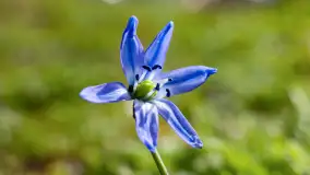 Mamy dowody na rozkwit wiosny na Mazurach, końcówka marca 2024 r. - zdjęcie 7