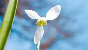 Mamy dowody na rozkwit wiosny na Mazurach, końcówka marca 2024 r. - zdjęcie 9