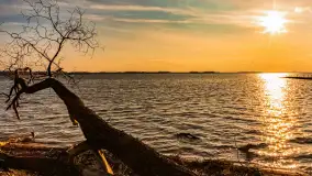 Jezioro Dargin przed zachodem słońca, marzec 2024 r. - zdjęcie 38