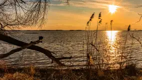 Jezioro Dargin przed zachodem słońca, marzec 2024 r. - zdjęcie 29