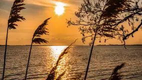 Jezioro Dargin przed zachodem słońca, marzec 2024 r. - zdjęcie 4