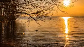 Jezioro Dargin przed zachodem słońca, marzec 2024 r. - zdjęcie 11