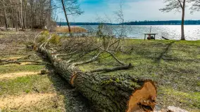 Bełdany Tarpan II, marzec 2024 r. - zdjęcie 13