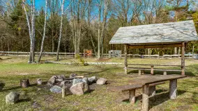 Bełdany Tarpan II, marzec 2024 r. - zdjęcie 16