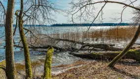 Bełdany Tarpan II, marzec 2024 r. - zdjęcie 34