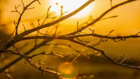 Wiosenne kadry o zachodzie słońca, koniec marca 2024 r. - zdjęcie 15