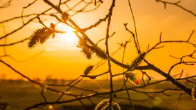 Wiosenne kadry o zachodzie słońca, koniec marca 2024 r. - zdjęcie 22