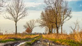 Wiosenne kadry o zachodzie słońca, koniec marca 2024 r. - zdjęcie 10