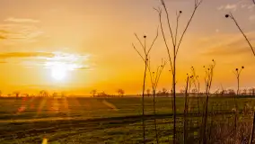 Wiosenne kadry o zachodzie słońca, koniec marca 2024 r. - zdjęcie 29