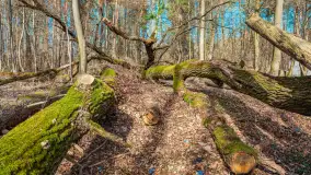 Wiosna nad jeziorem Bełdany, Binduga Tarpan I - zdjęcie 6