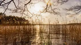 Wiosna i zachód słońca na półwyspie Kula, kwiecień 2024 r. - zdjęcie 3