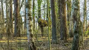 Wiosna i zachód słońca na półwyspie Kula, kwiecień 2024 r. - zdjęcie 16