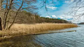 Wiosna i polana Wydra przy jeziorze Tyrkło, marzec 2024 r. - zdjęcie 8