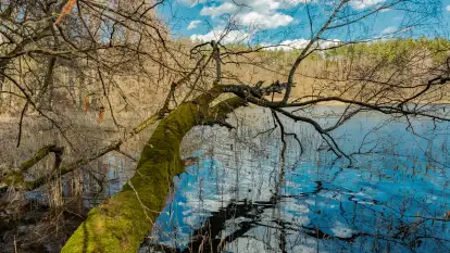 Wiosna i polana Wydra przy jeziorze Tyrkło, marzec 2024 r.