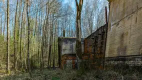 Śluza Leśniewo Górne na wiosennych ujęciach, marzec 2024 r. - zdjęcie 55