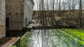 Śluza Leśniewo Górne na wiosennych ujęciach, marzec 2024 r. - zdjęcie 27