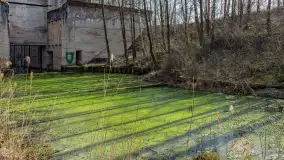 Śluza Leśniewo Górne na wiosennych ujęciach, marzec 2024 r. - zdjęcie 24