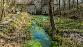 Śluza Leśniewo Górne na wiosennych ujęciach, marzec 2024 r. - zdjęcie 14
