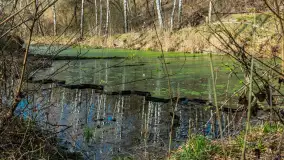 Śluza Leśniewo Górne na wiosennych ujęciach, marzec 2024 r. - zdjęcie 30