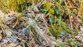 Wiosna nad niewielkim, mazurskim jeziorkiem, marzec 2024 r. - zdjęcie 8