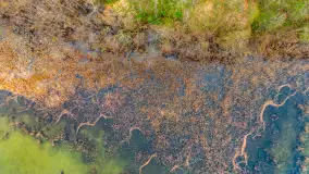 Mazurskie pajęczyny o wschodzie słońca nad jeziorem Dobskim - zdjęcie 5