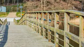 Wiosenny spacer nad jeziorem Wydmińskim, marzec 2024 r. - zdjęcie 18