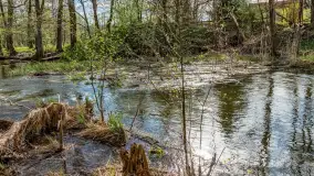 Zabytkowy młyn wodny przy Krutyni, kwiecień 2024 r. - zdjęcie 12