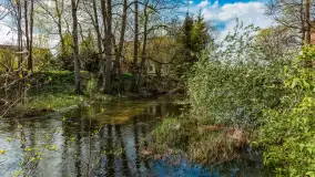 Zabytkowy młyn wodny przy Krutyni, kwiecień 2024 r. - zdjęcie 43