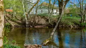 Zabytkowy młyn wodny przy Krutyni, kwiecień 2024 r. - zdjęcie 15