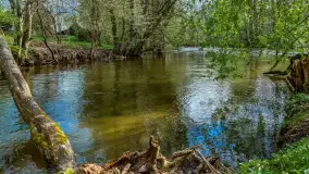 Zabytkowy młyn wodny przy Krutyni, kwiecień 2024 r. - zdjęcie 35