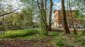 Zabytkowy młyn wodny przy Krutyni, kwiecień 2024 r. - zdjęcie 23