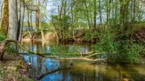 Zabytkowy młyn wodny przy Krutyni, kwiecień 2024 r. - zdjęcie 25