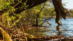 Zachód słońca nad jeziorem Salęt, kwiecień 2024 r. - zdjęcie 7