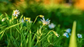 Zachód słońca nad jeziorem Salęt, kwiecień 2024 r. - zdjęcie 29