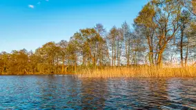 Zachód słońca nad jeziorem Salęt, kwiecień 2024 r. - zdjęcie 12